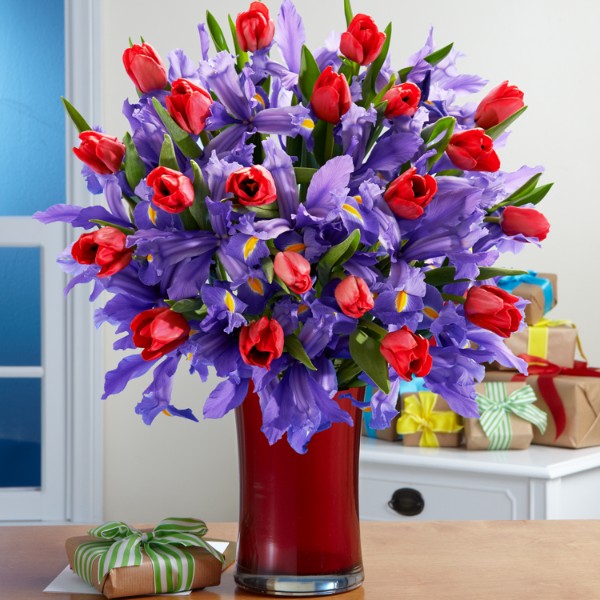 Deluxe Hugs and Kisses