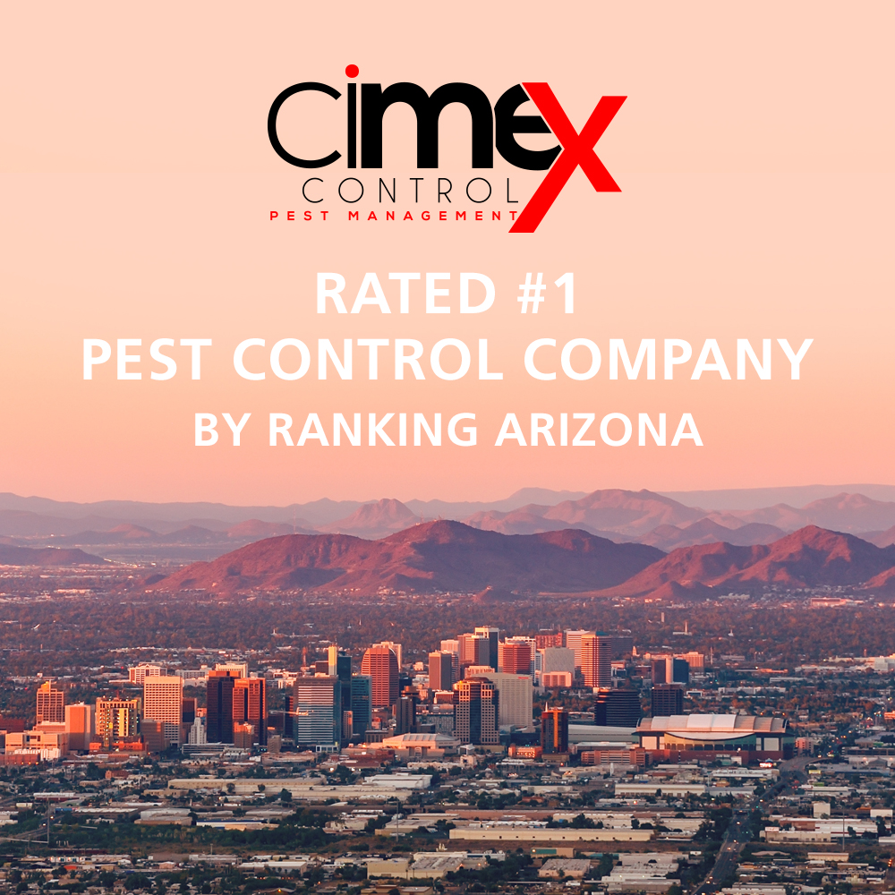 CimeX Control Rated 1 For Pest Control In Arizona Cimex Control