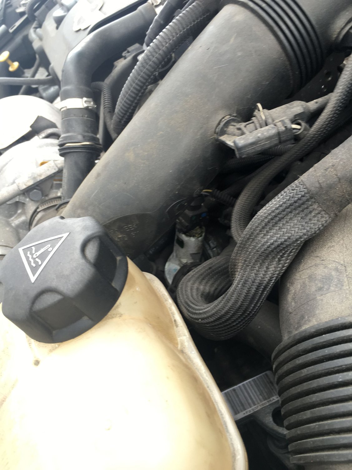 R56 Can someone help me out here? Coolant leak North American Motoring