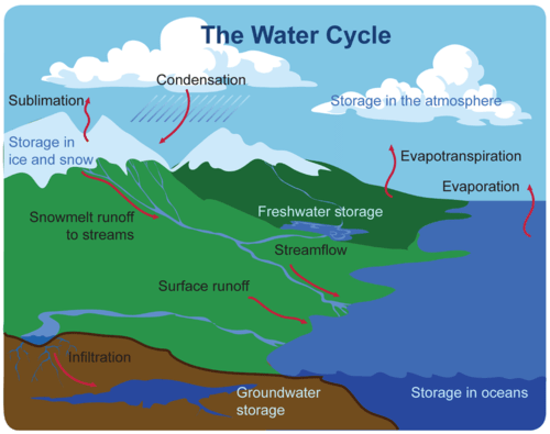 Water Cycle ( Read ) Biology CK12 Foundation