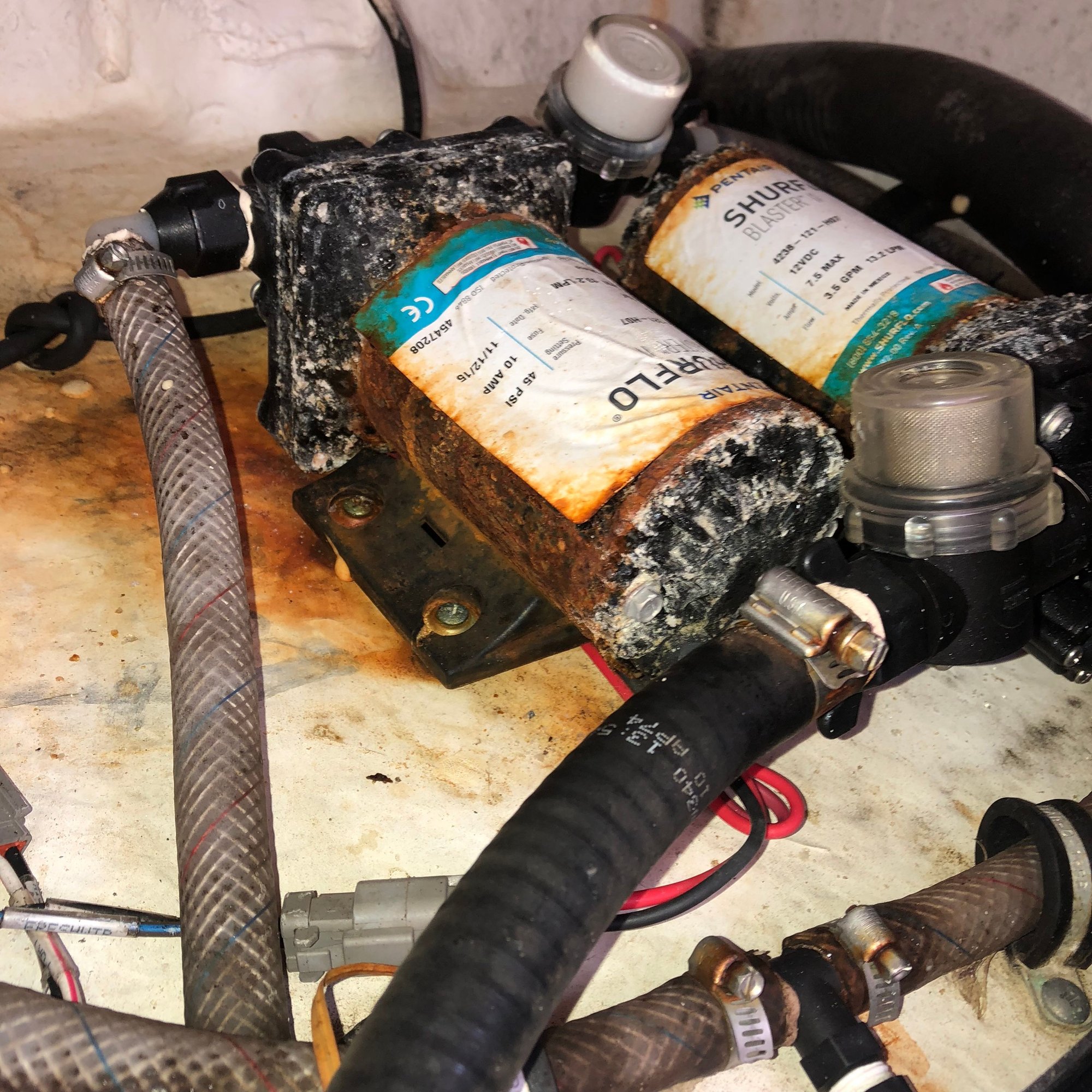 Rusty wash down and live well pumps The Hull Truth Boating and