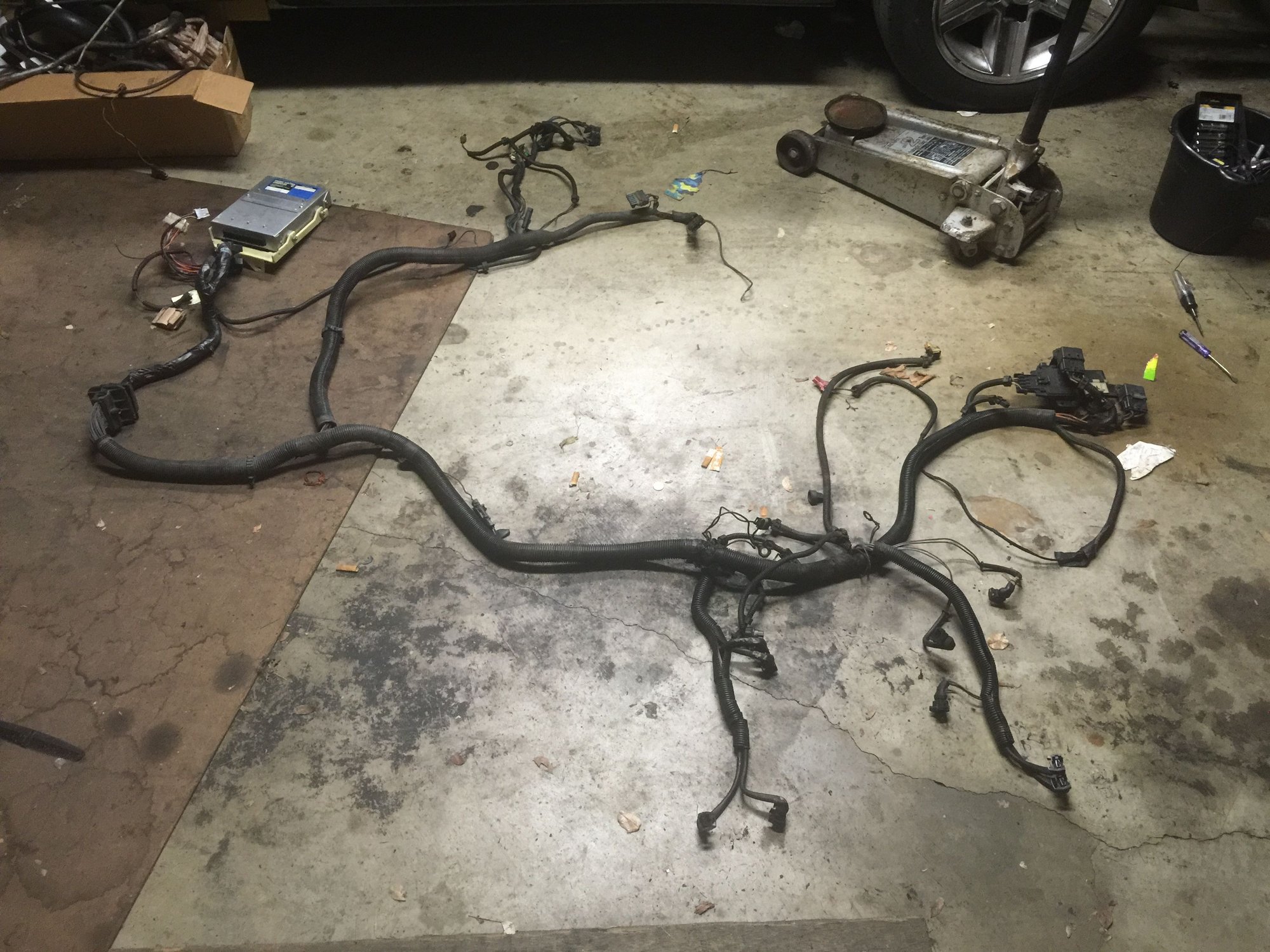 TPI Engine Setup and 8592 Camaro CPU and Harness for sale TPI Engine Setup and 8592 Camaro CPU and Harness for sale