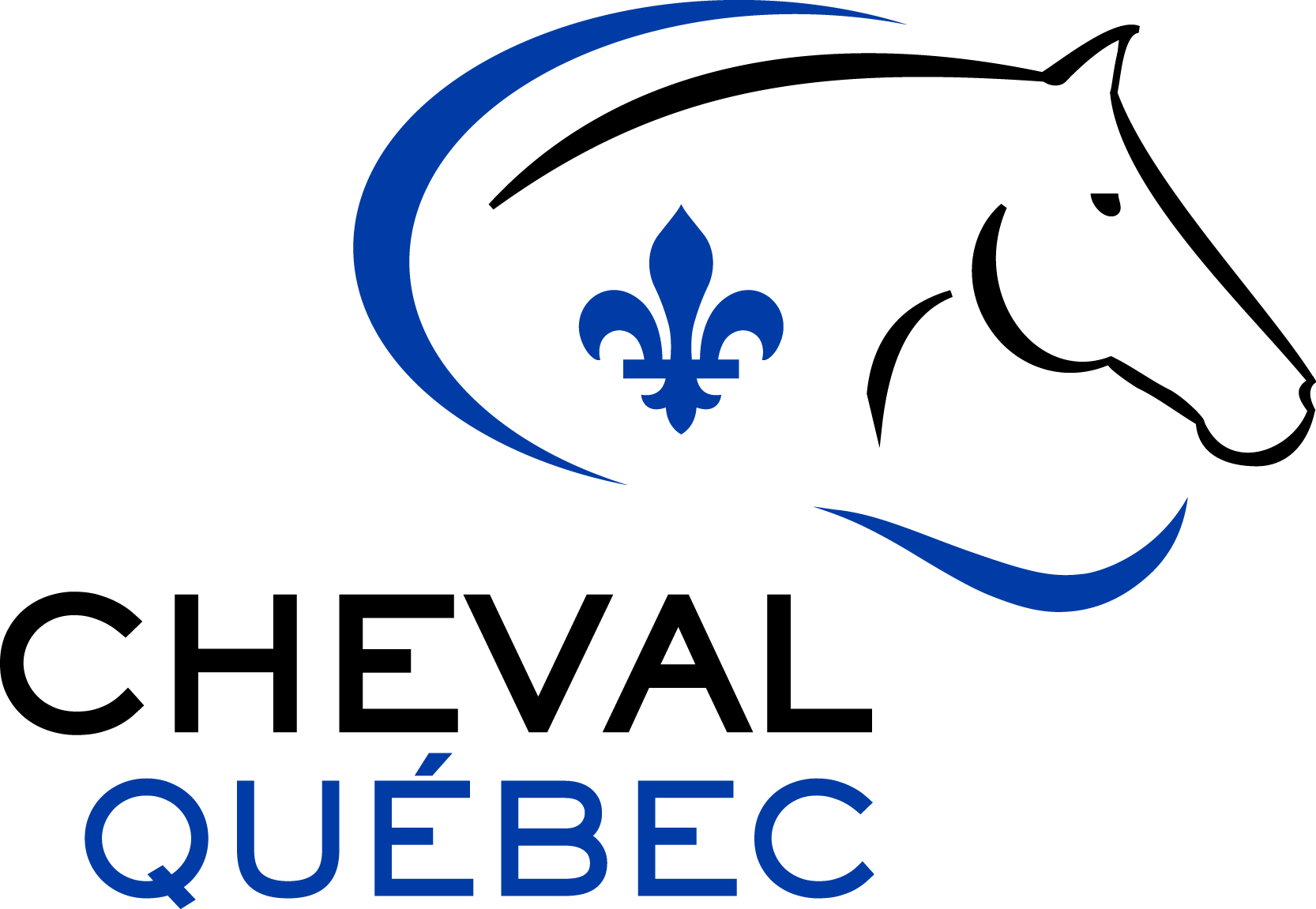 44e édition du Championnat d’équitation western du Québec, l’équipe de
