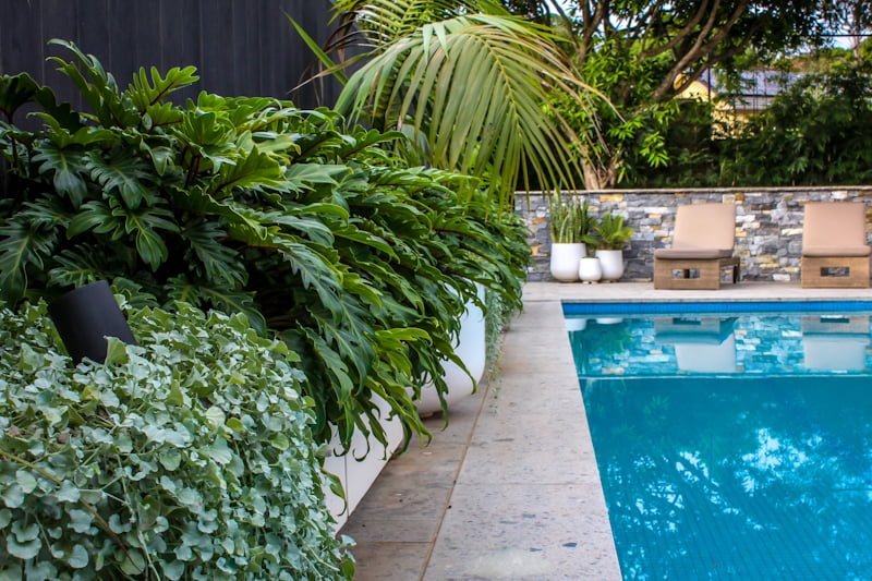 How to choose the perfect pool surround tiles Cinajus