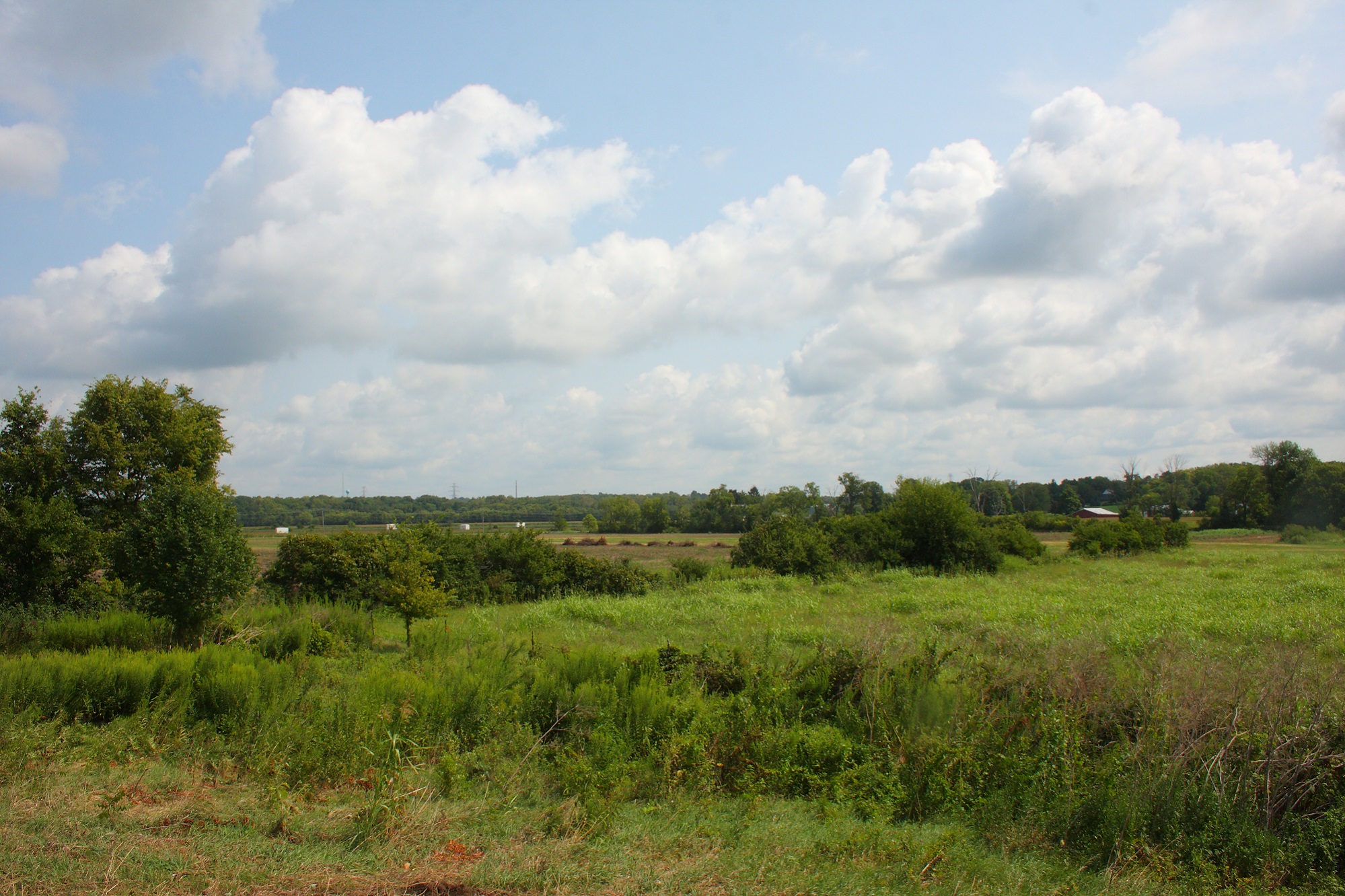 Native Plant Sale at Bowyer Cincinnati Zoo & Botanical Garden