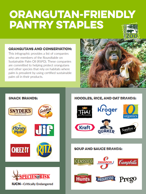 Sustainable Palm Oil Guides Cincinnati Zoo