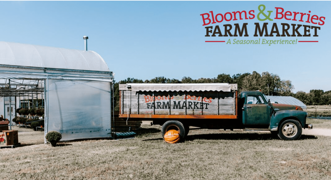 Blooms & Berries Fall on the Farm {2022 Moms' Guide}