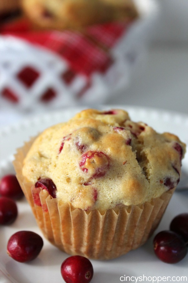 Cranberry Muffins Recipe