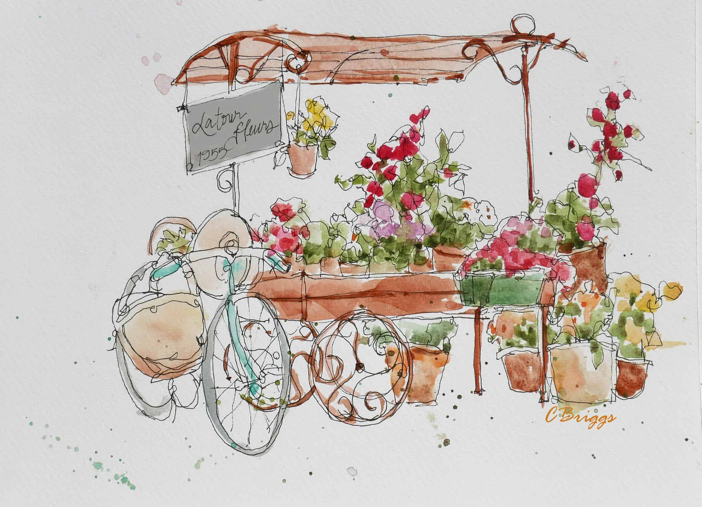 Fleur Shop Cindy Briggs Art & Watercolor Paintings