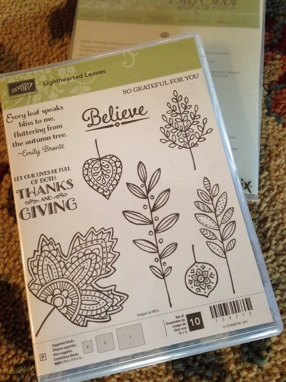 SU Lighthearted Leaves Cindy Lee Bee Designs