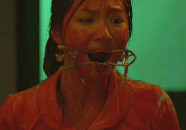 Sick Nurses (2007)
