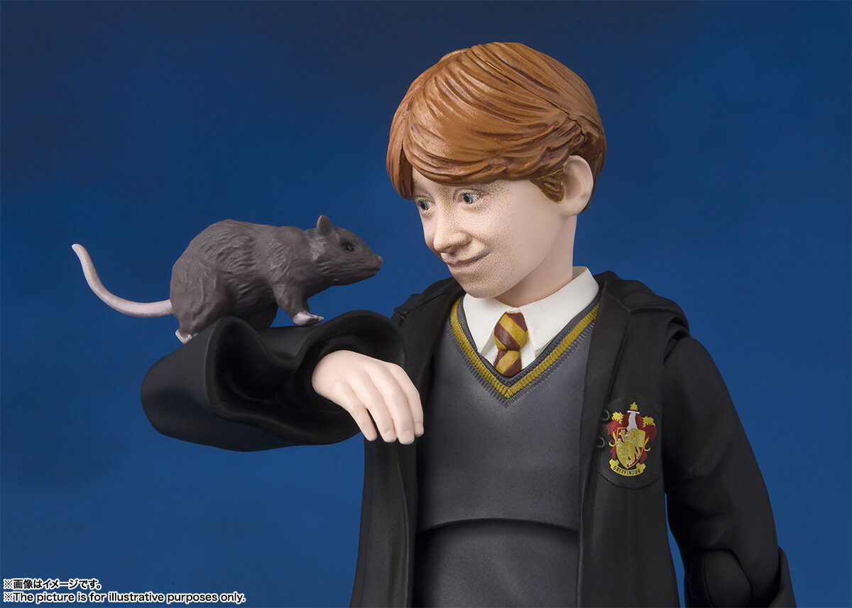 ハリーポッターに登場する動物・ペットたちの撮影秘話：ヘドウィグがほうきを持ってくるシーンはどう撮影された？ シネマ・ダウンタウン！略してシネダウ