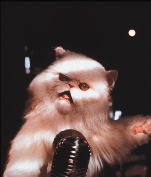 Cats and Dogs (2001) Image Gallery