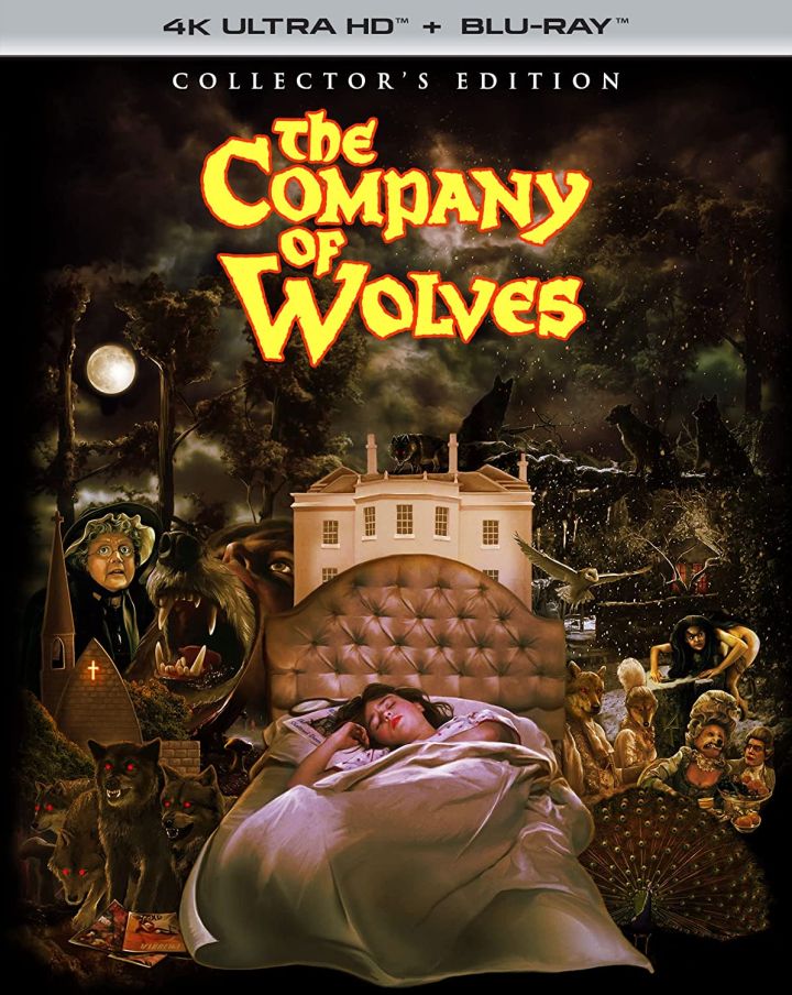 The Company of Wolves 4K UHD Review Little Red's Wolf Fetish Cinema