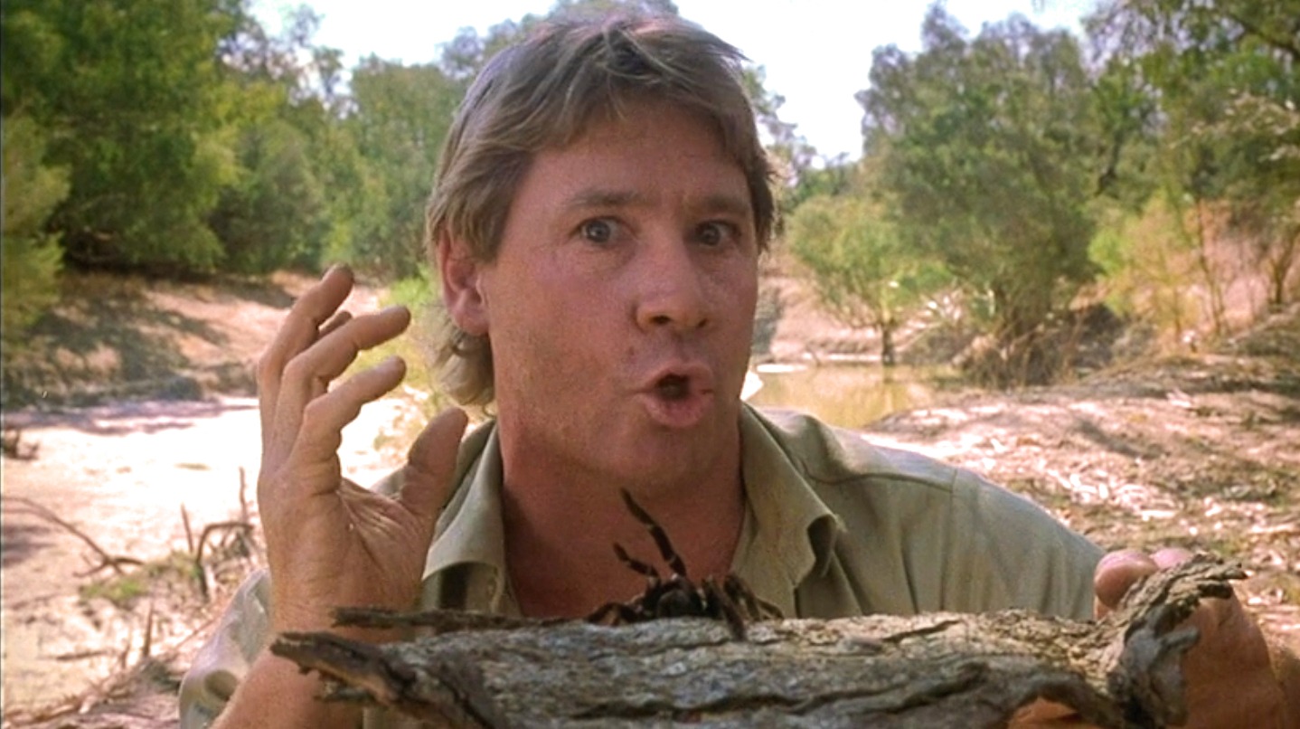 TheCrocodileHunterCollisionCourse17 Cinematic Diversions