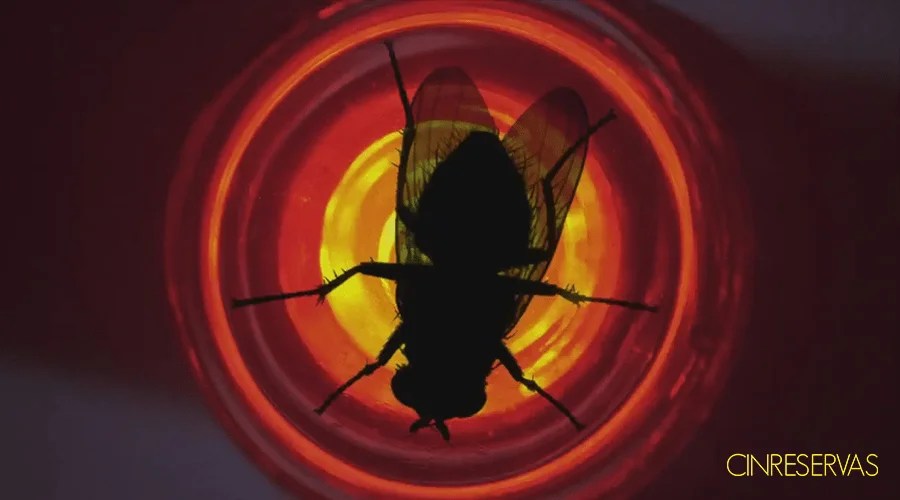 Mosca Breaking Bad, Ep. 30 Opinión CinReservas