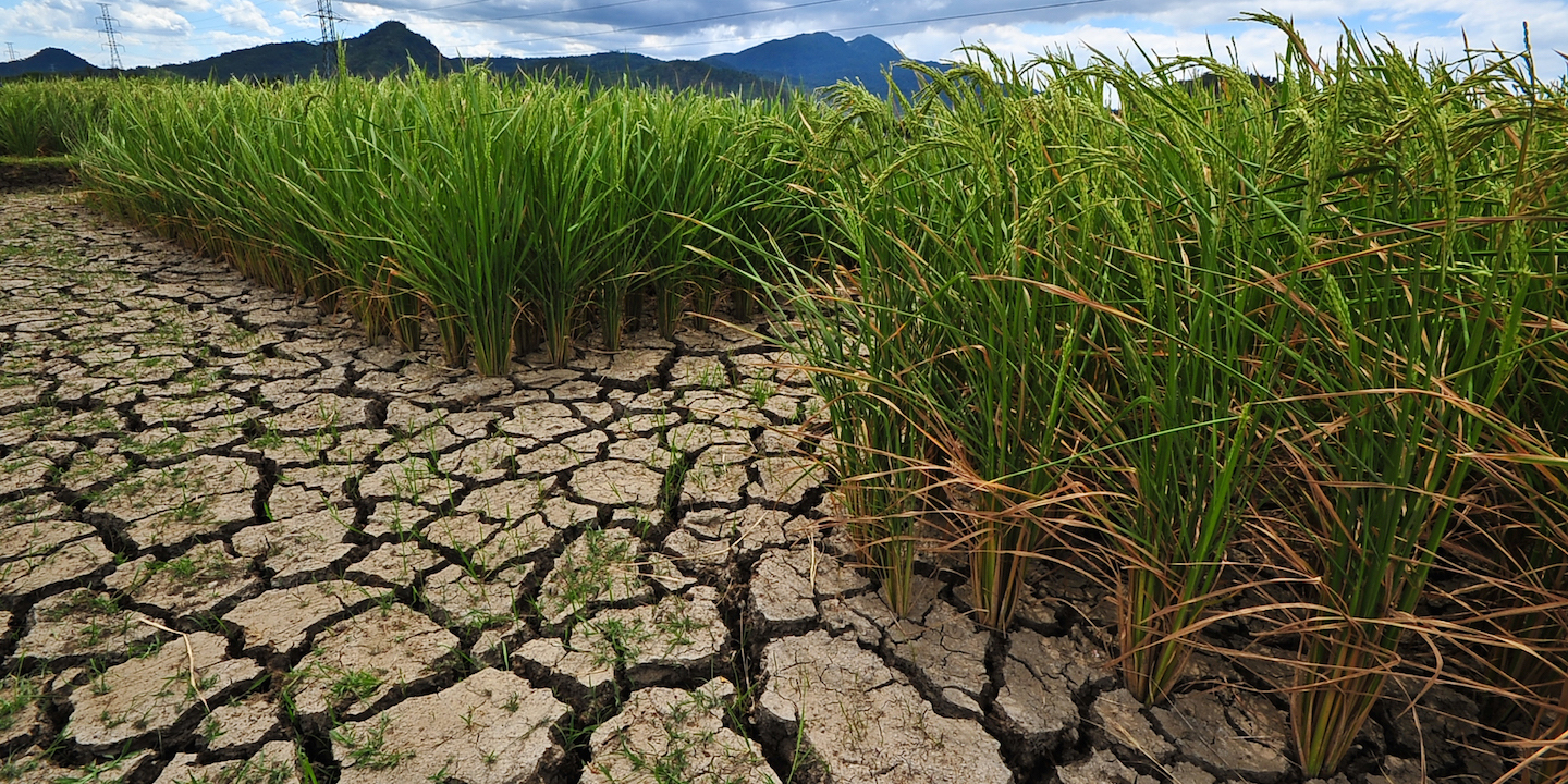 Science to solve world hunger Neutron research with plants Canadian