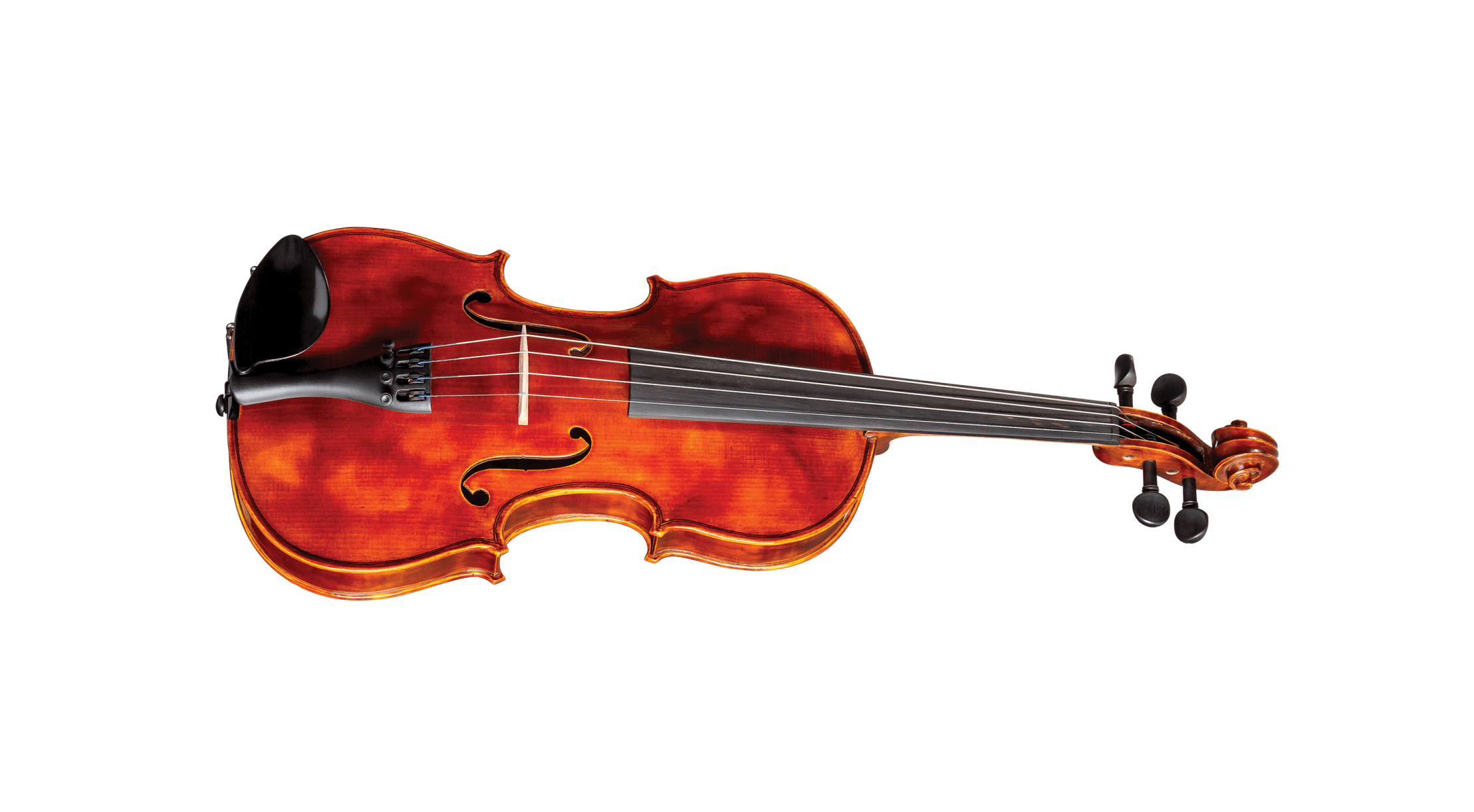 Orchestra Instruments for Sale CIOMIT Music Store