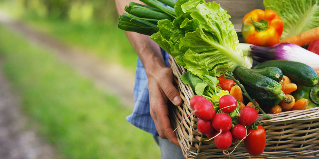 CHICAGO International Produce Market 2404 S. Wolcott Ave., Chicago