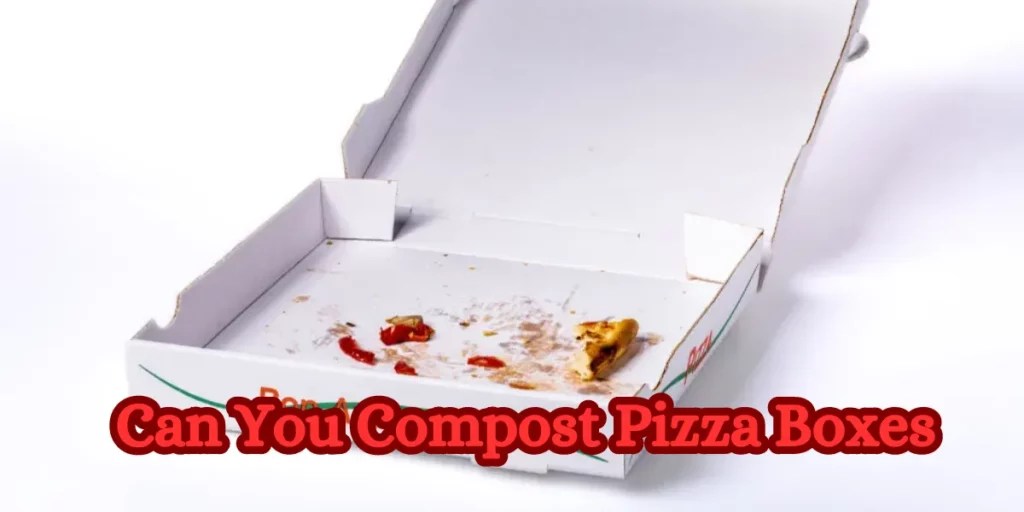 Can You Compost Pizza Boxes? EcoFriendly Waste Disposal