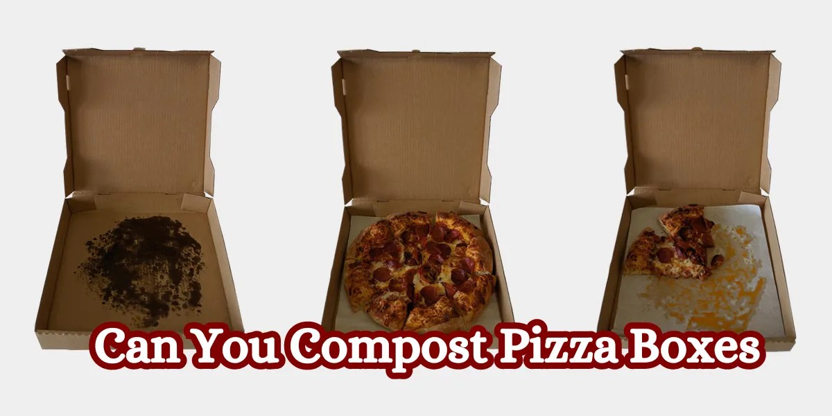 Can You Compost Pizza Boxes? EcoFriendly Waste Disposal