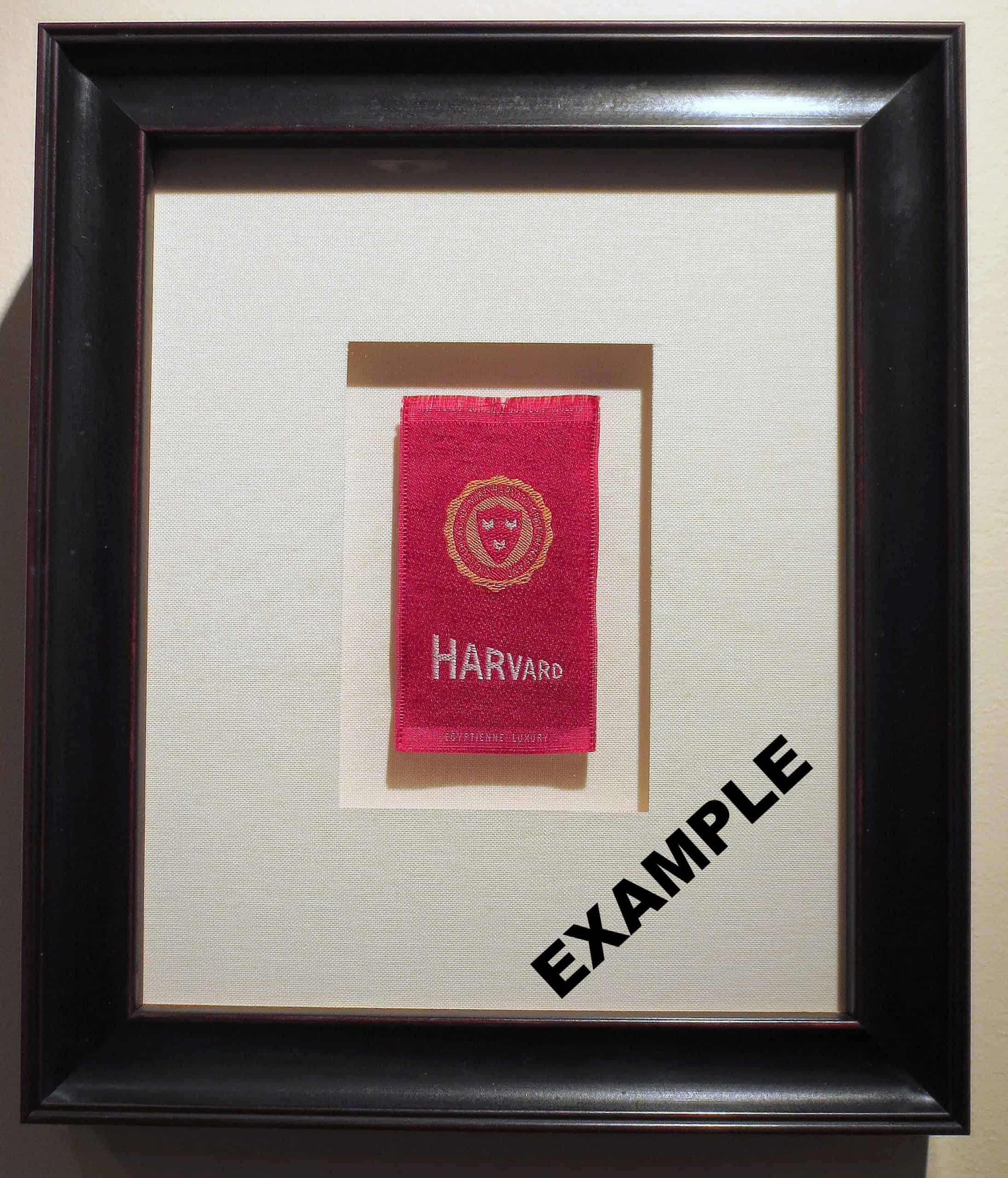 No. 3598 Rutgers tobacco silk, 1910 Circle 7 Framing