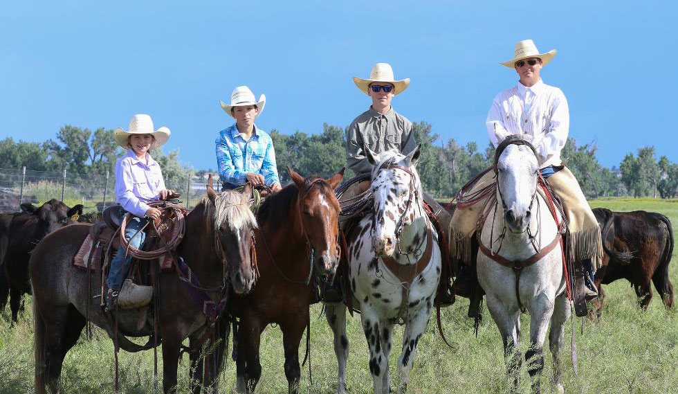 Contact Us Circle B Ranch