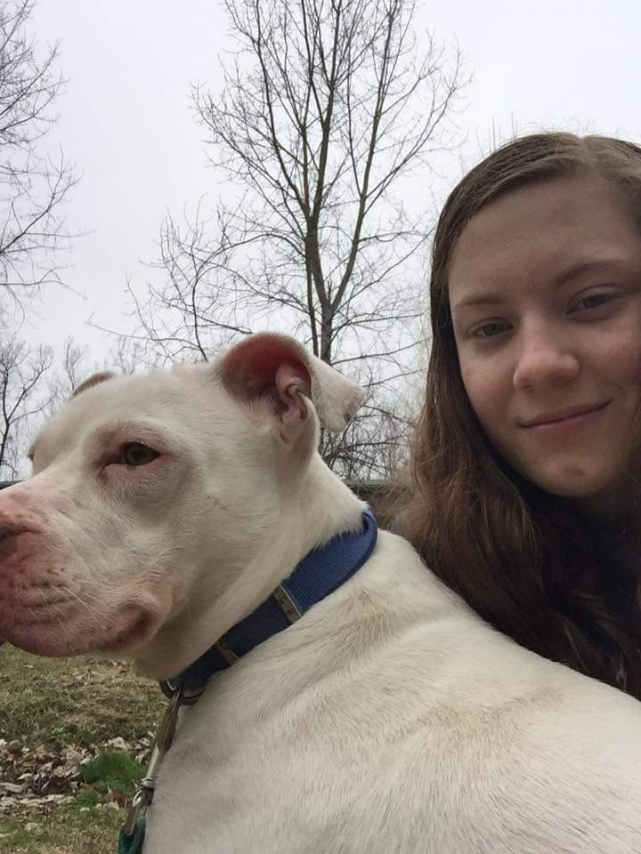 About Us Indianapolis Dog Trainer Circle City Dog Training