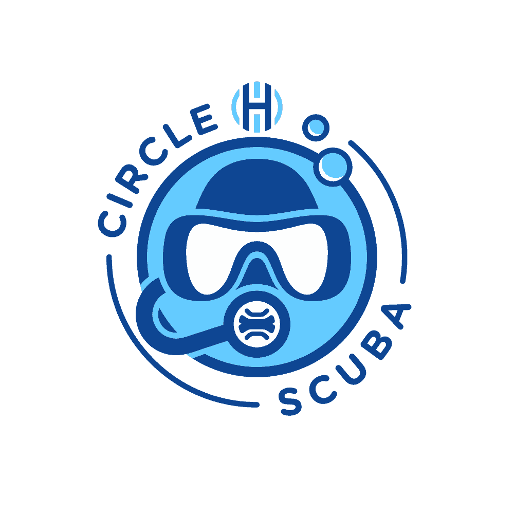 Ear Beer Recipe DIY Swimmer's Ear Prevention Circle H Scuba