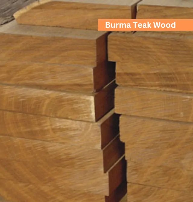 Wood Price in Bangladesh