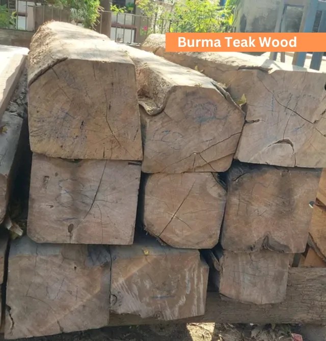 Wood Price in Bangladesh