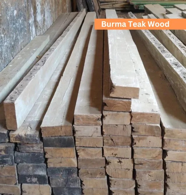 Wood Price in Bangladesh