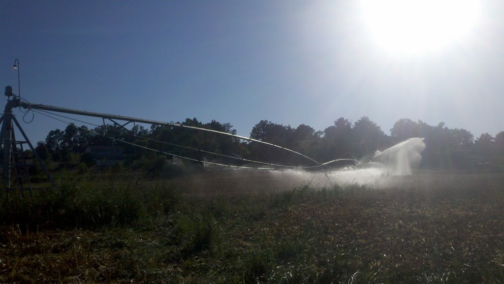 Products Circle K Farms