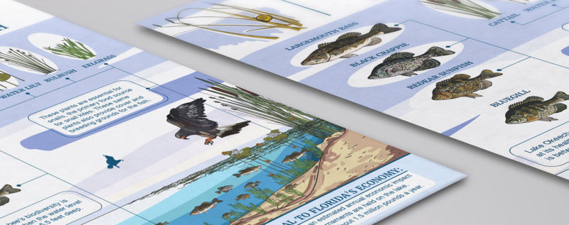 USFWS Circuit Media A digital communications and design agency