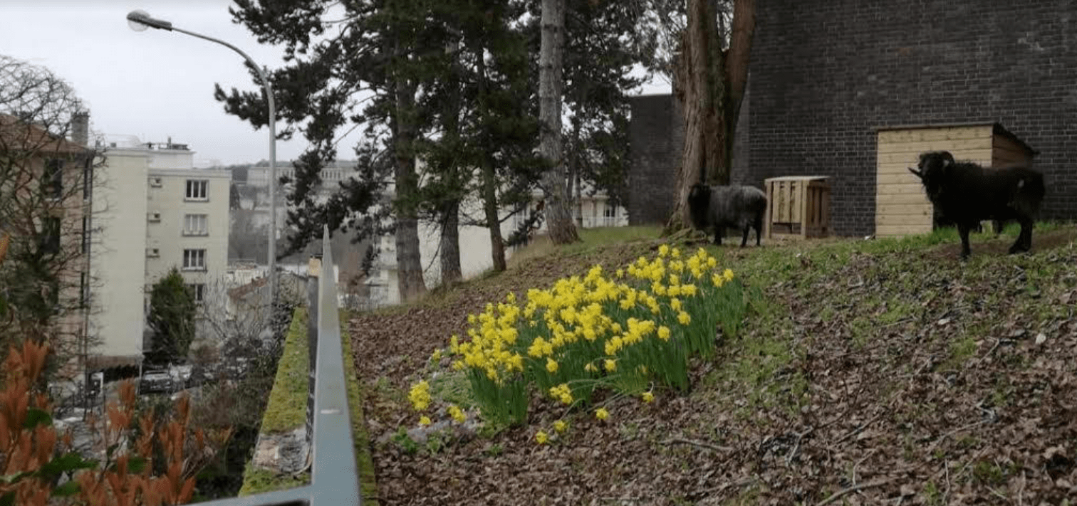 Bergeries en Ville CirculAgronomie