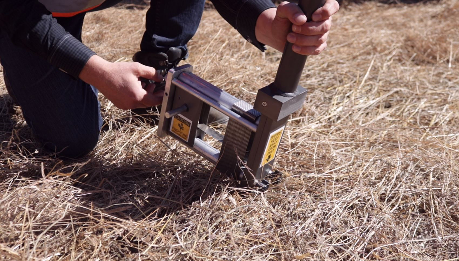 Staple Wasp Gun Cirtex