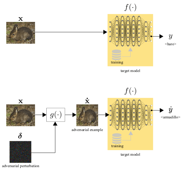 CIS Intelligent Sensing Visual Adversarial Attacks and Defenses