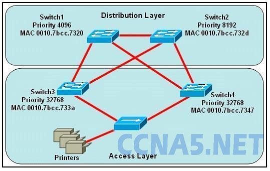 CCNA 200125 Certification Exam Dumps Questions and Answers Part 5