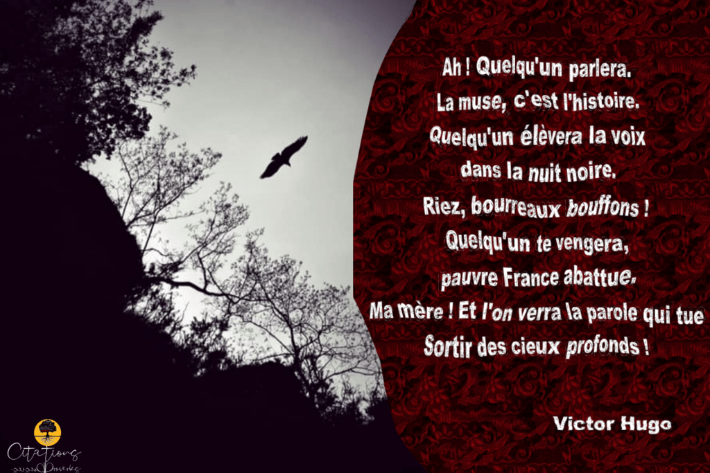 La muse , c'est l'histoire... Citations Proverbes et Poésies