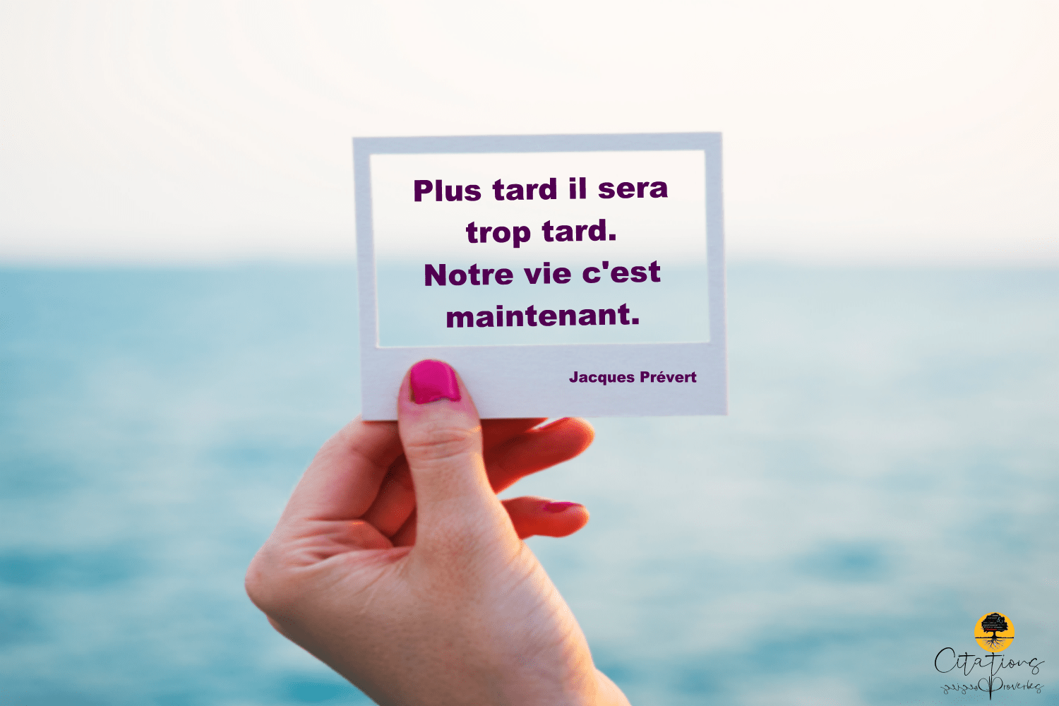 Notre vie c'est maintenant. Citations Proverbes et Poésies