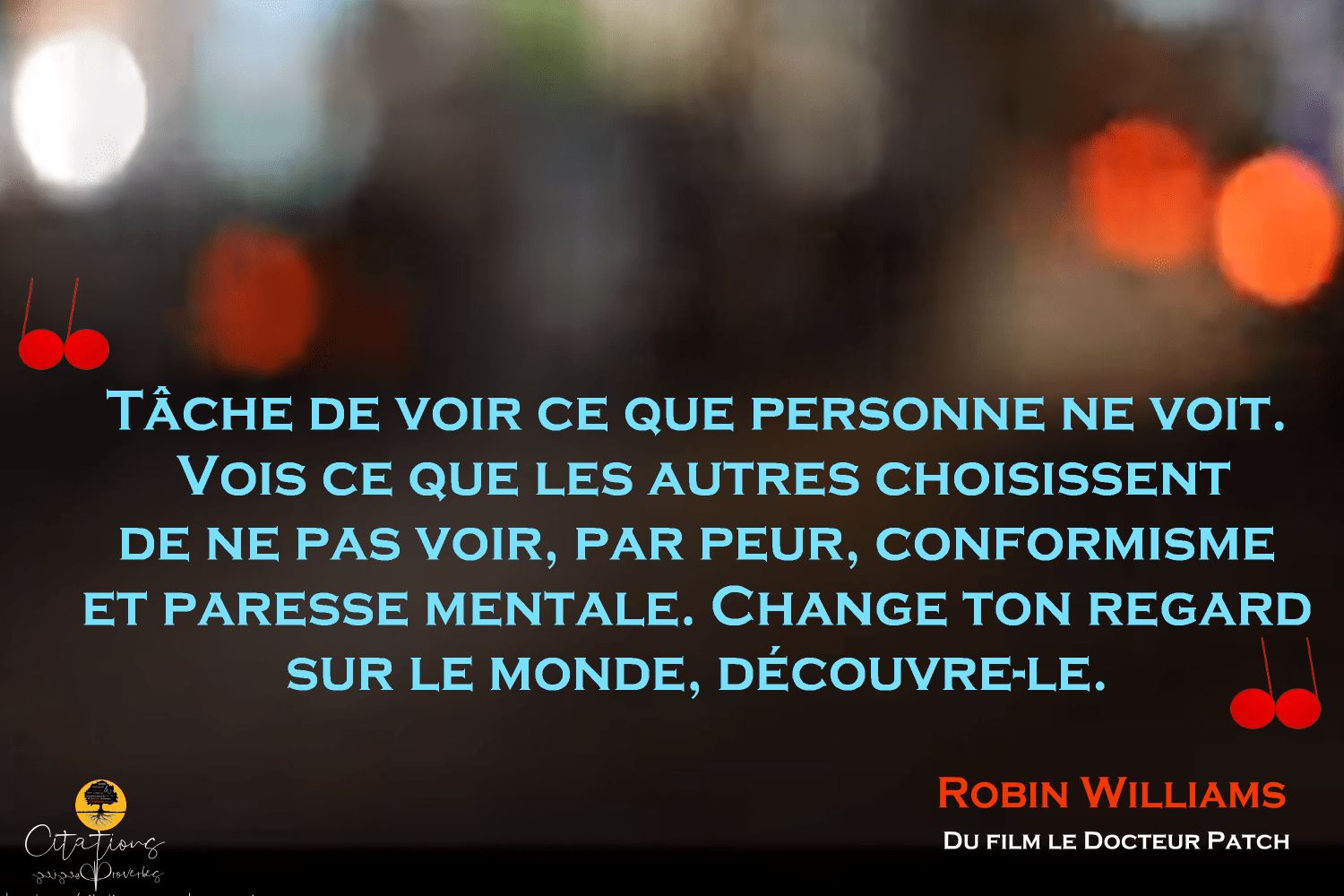 Tâche de voir ce que personne ne voit. Citations