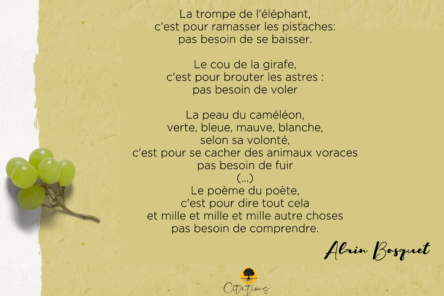 Le poème du poète, c'est pour dire tout cela et mille et