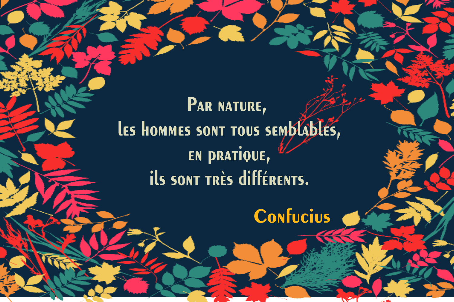 Par nature, les hommes sont tous semblables, en pratique, ils sont très différents. Citations