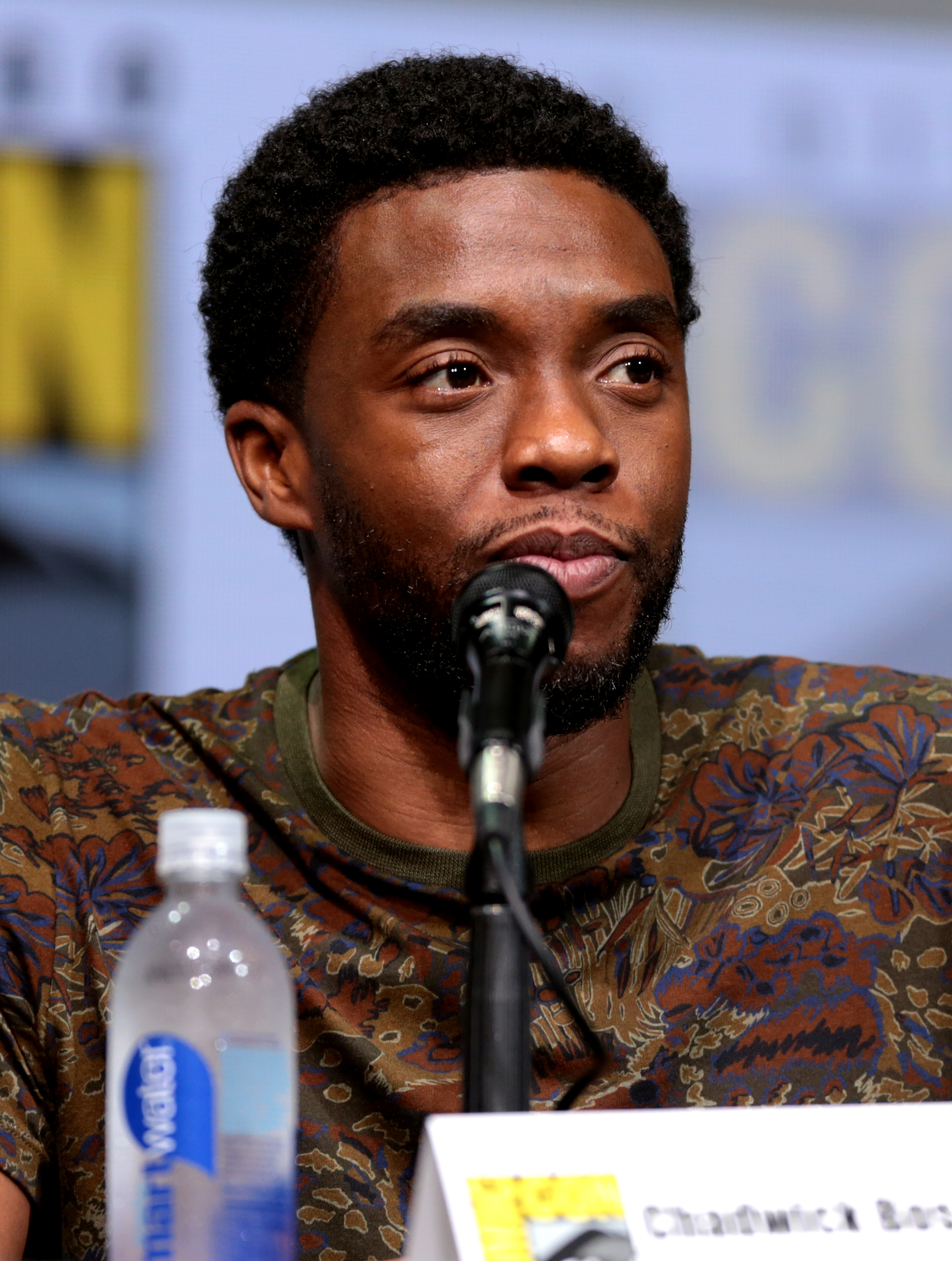 Chadwick Boseman citát A superhero movie is only as great as its