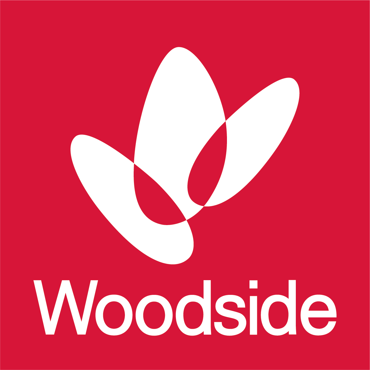 Cited Woodside Network Access
