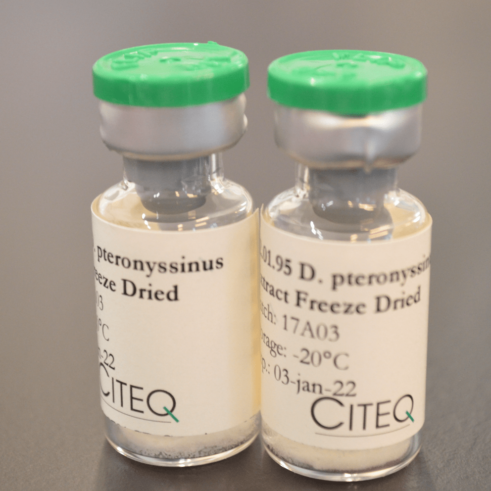 d pteronyssinus microvial Citeq Biologics