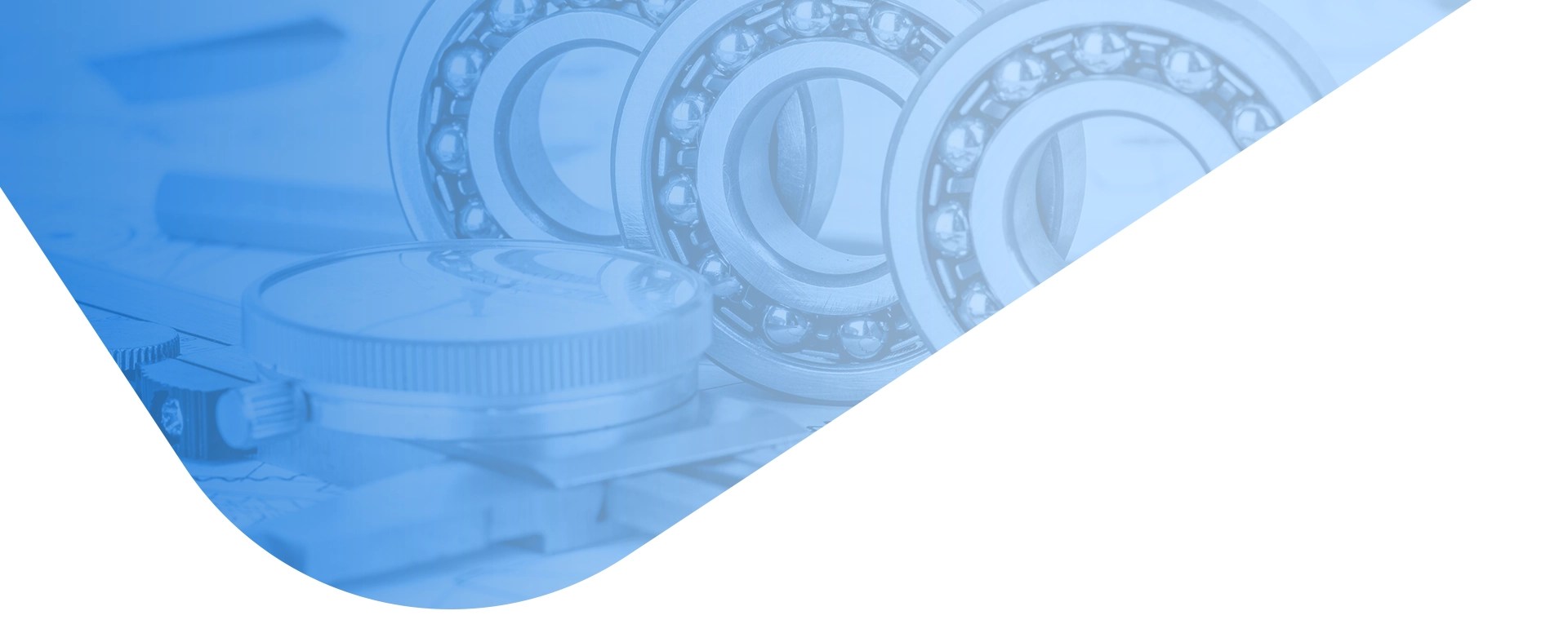 Expert SKF Bearing Distributor (Est. 1989) Citi Bearings Seals