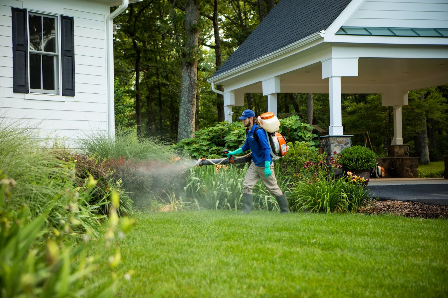 What Is The Most Effective Mosquito Control For Your Patio or Garden?