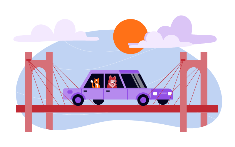 How to Ship Animals to Another State? Moving Pets State to State