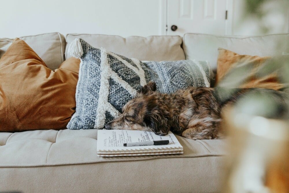 Best Way to Move a Couch [ Simple Steps ] CitizenShipper Blog